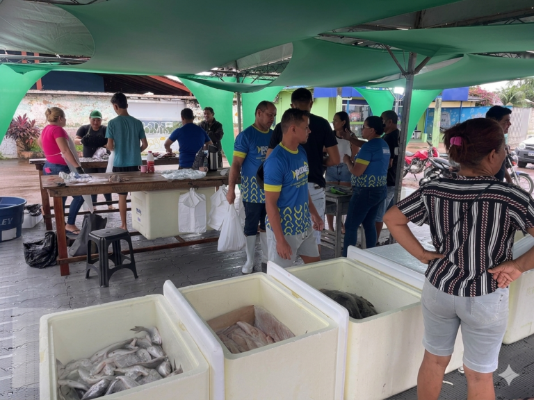 Peixe Popular 2026 garante acesso a pescado com preço acessível durante a Semana Santa