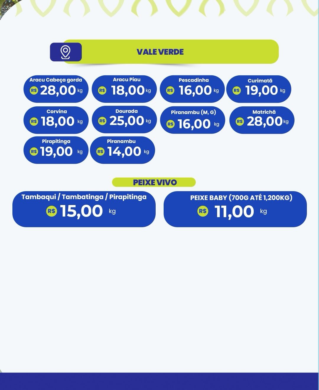 SaveClip.App_657553581_17985379841976684_3722100216273053894_n