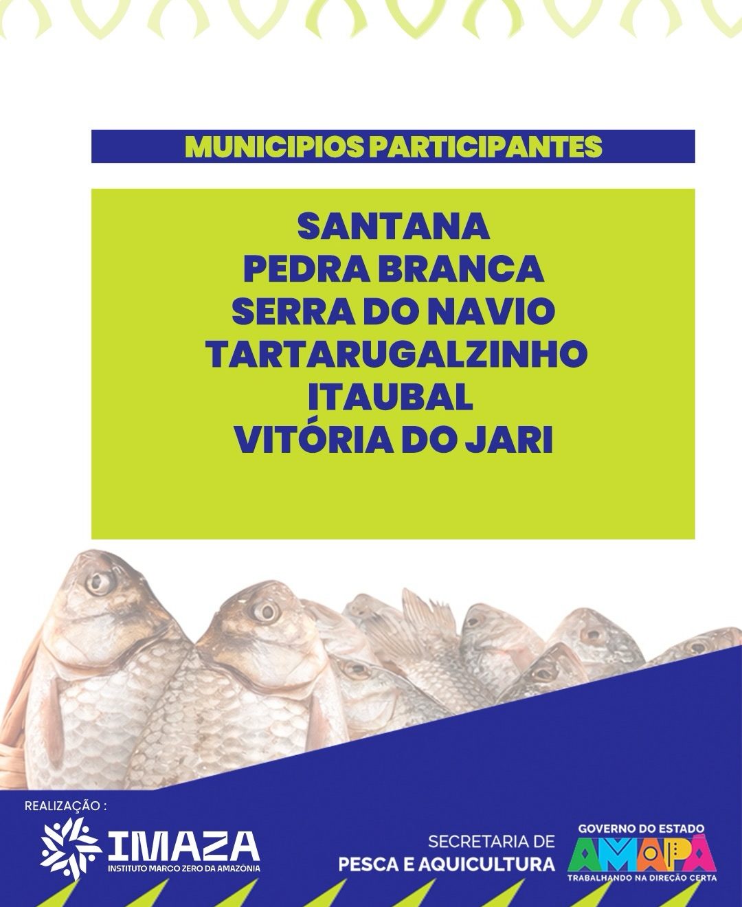 SaveClip.App_660022079_17985379850976684_3945014066475364983_n